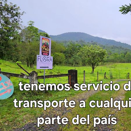 Tio Felix Eco Lodge ラ・フォルトゥナ エクステリア 写真