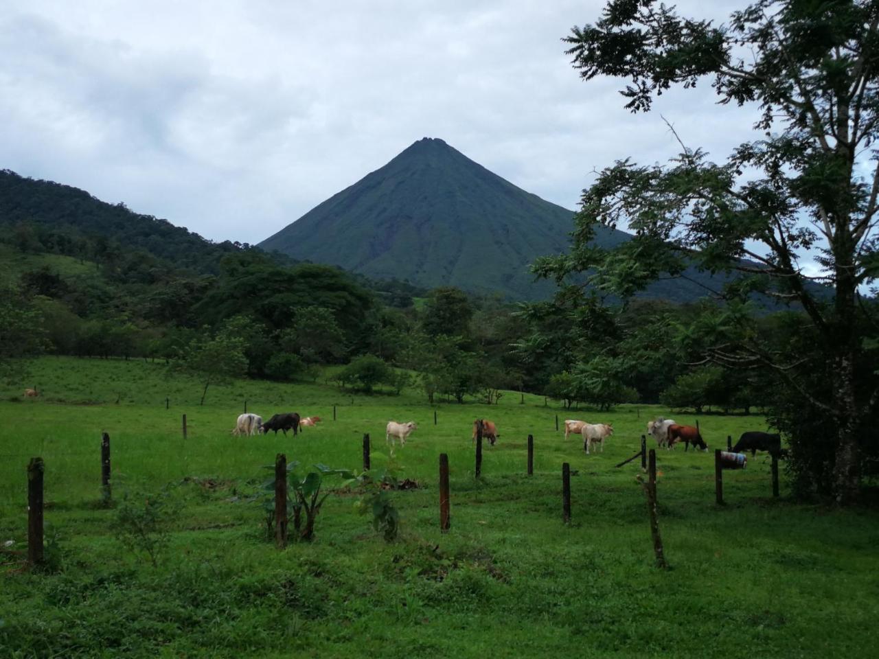Tio Felix Eco Lodge ラ・フォルトゥナ エクステリア 写真