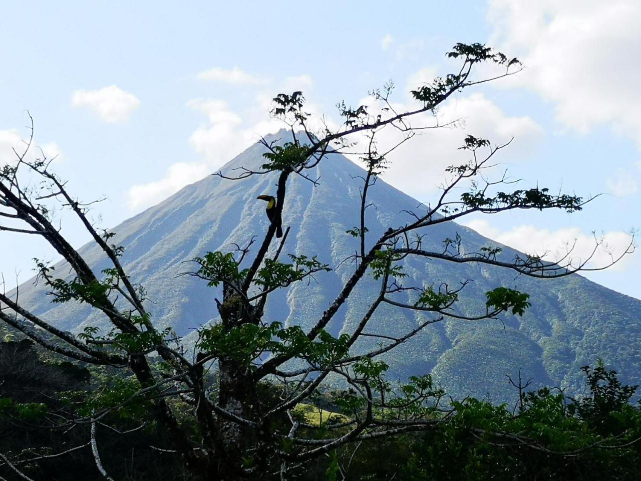 Tio Felix Eco Lodge ラ・フォルトゥナ エクステリア 写真