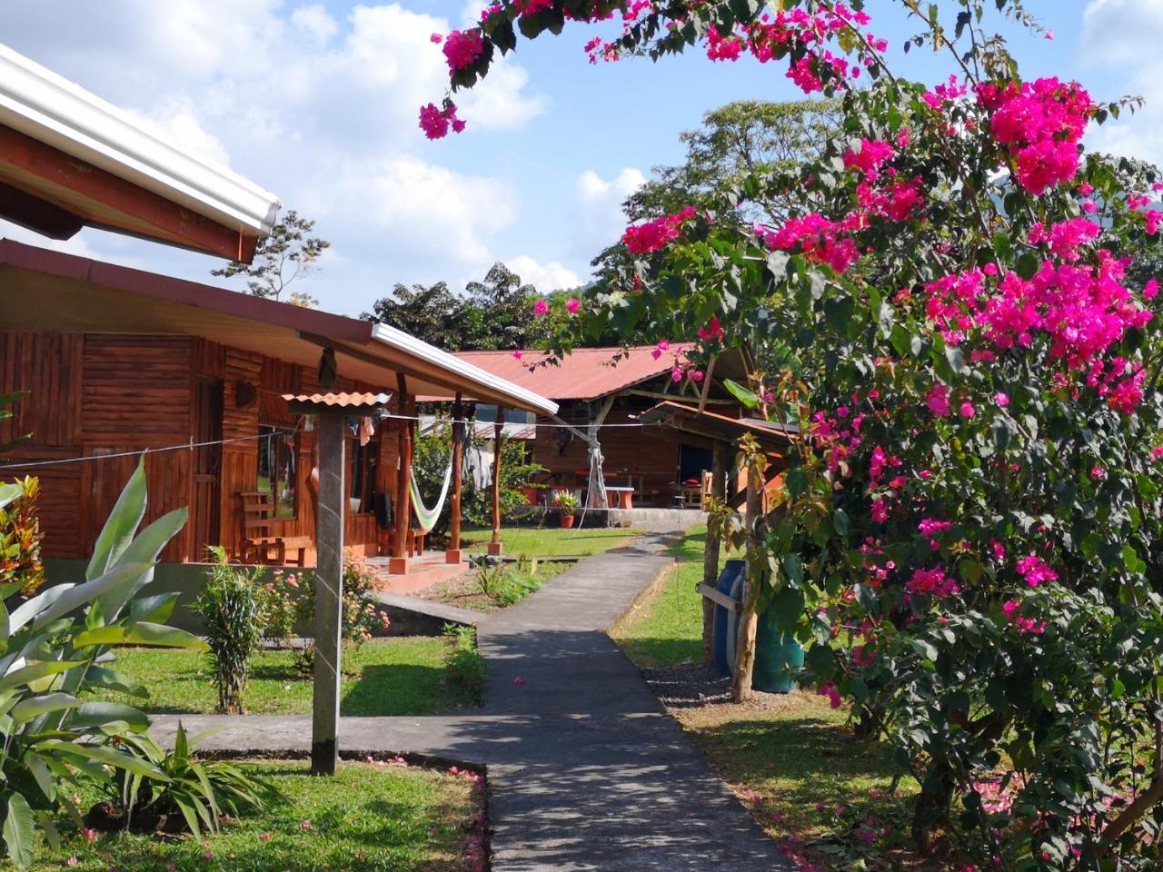 Tio Felix Eco Lodge ラ・フォルトゥナ エクステリア 写真
