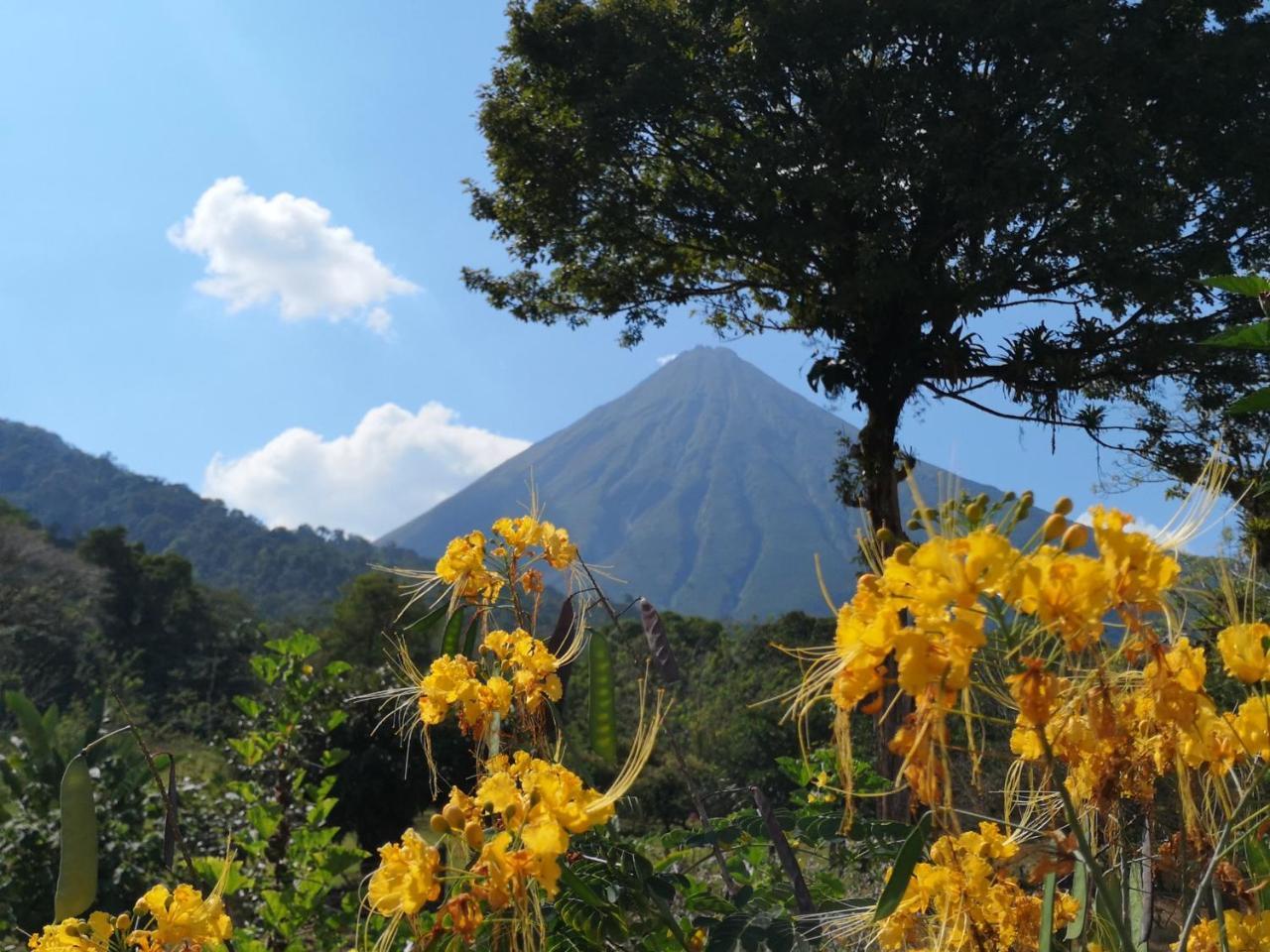 Tio Felix Eco Lodge ラ・フォルトゥナ エクステリア 写真